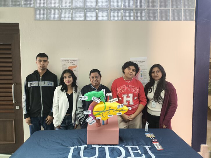 Estudiantes trabajando en un proyecto de investigación